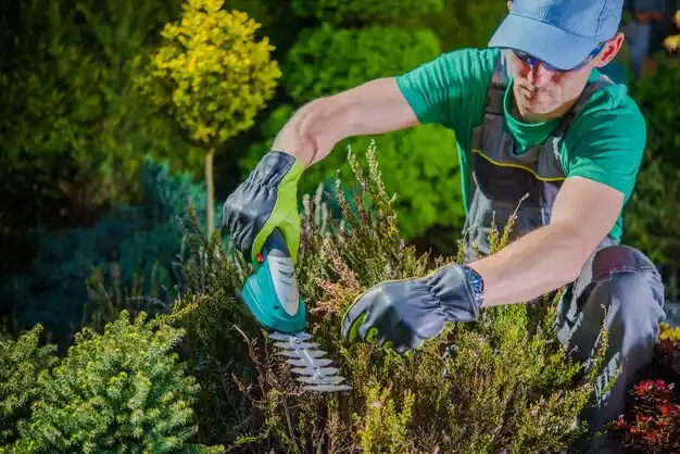 landscaping services Bellefontaine Neighbors